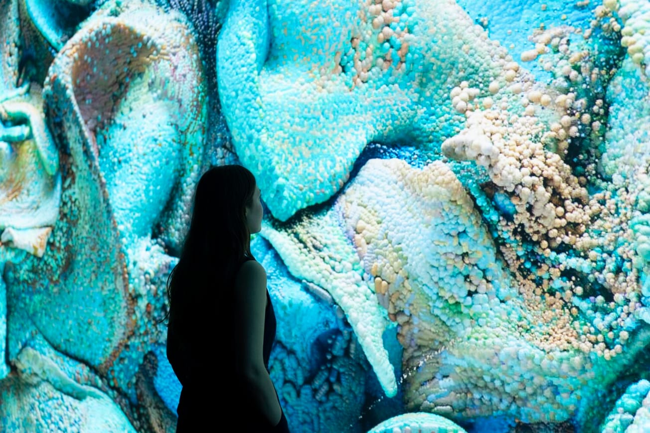 ‘Echoes of the Earth: Living Archive’ by Refik Anadol