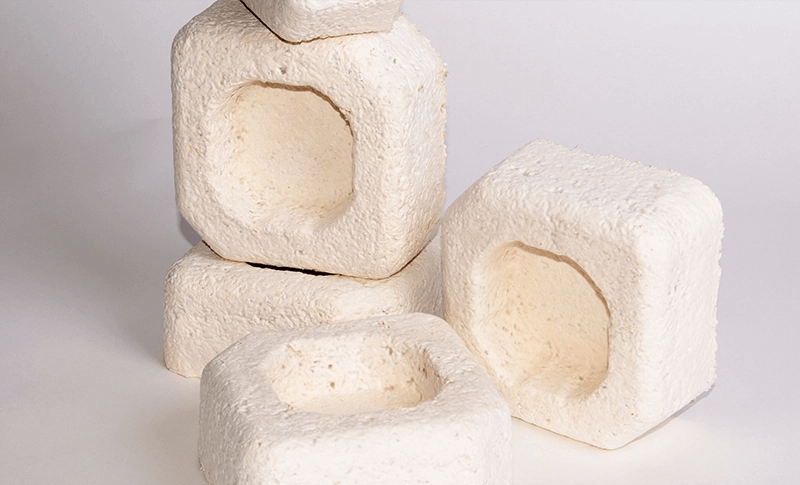 Biodesign + Biofabrication, an Emergent Domain