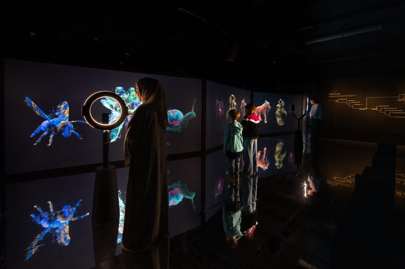 YOU:MATTER is a, Soul-Stirring Immersive Experience