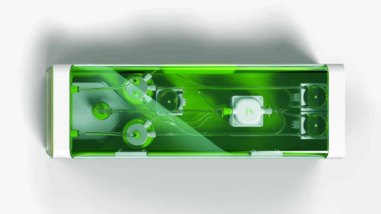 Neural Networks Were a Metaphor