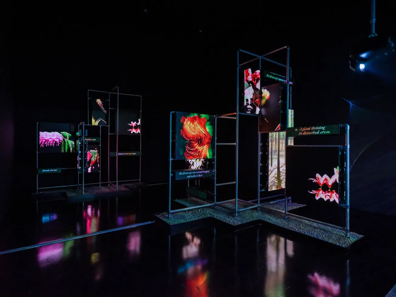 Sea of Data exhibition view at MMCA, Seoul