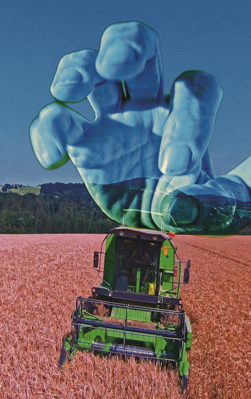 Your Palm is My Universe, Pipilotti Rist and the Shape of Immersion